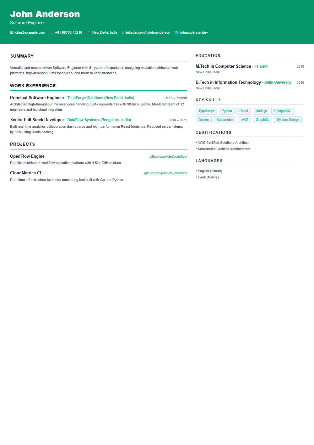 Novice resume template preview